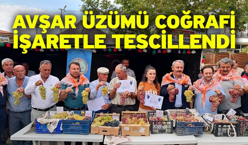 Avşar Üzümü coğrafi işaretle tescillendi