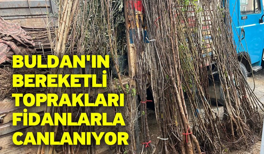 Buldan'ın bereketli toprakları fidanlarla canlanıyor