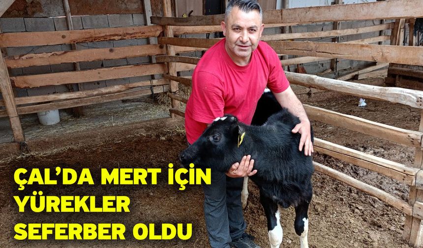Çal’da Mert için yürekler seferber oldu
