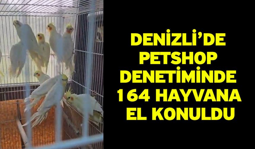 Denizli’de petshop denetiminde 164 hayvana el konuldu