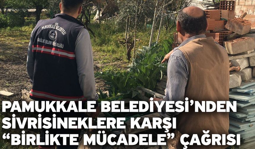 Pamukkale Belediyesi’nden Sivrisineklere Karşı “Birlikte Mücadele” Çağrısı