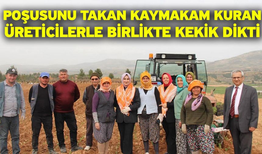 Poşusunu takan Kaymakam Kuran üreticilerle birlikte kekik dikti