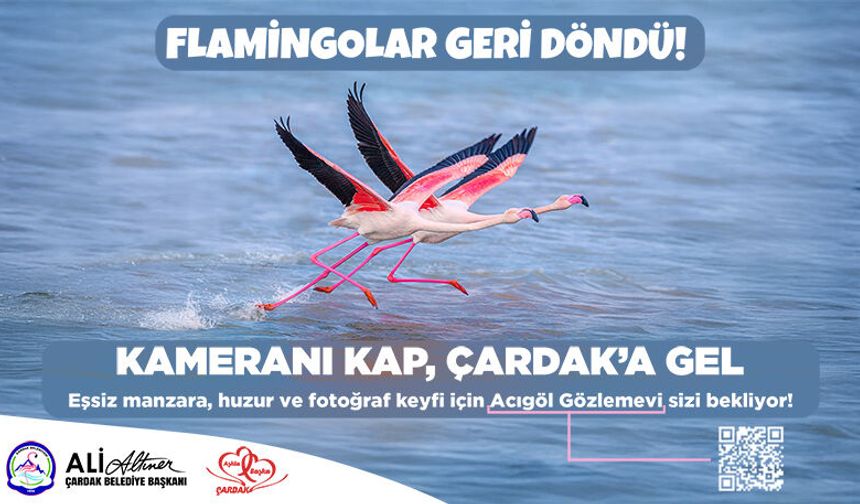 Flamingolar Geri Döndü! Çardak’a Davet Var