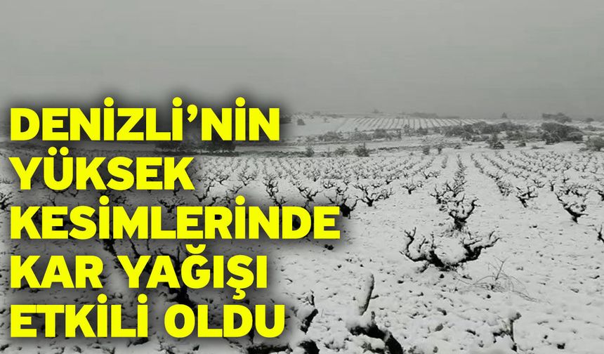 Denizli’nin yüksek kesimlerinde kar yağışı etkili oldu