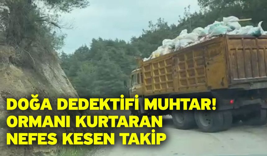 Doğa dedektifi muhtar! Ormanı kurtaran nefes kesen takip