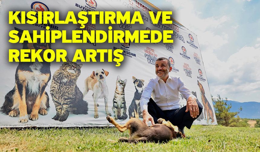 Denizli Büyükşehir’den sokak hayvanlarında kalıcı çözüm hamlesi