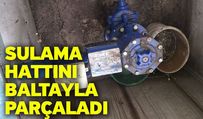 Sulama Hattını Baltayla Parçaladı
