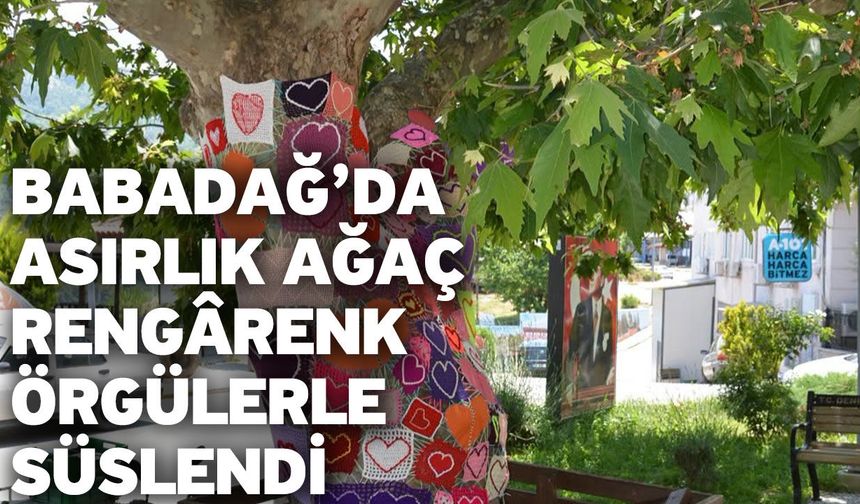 Babadağ’da asırlık ağaç rengârenk örgülerle süslendi