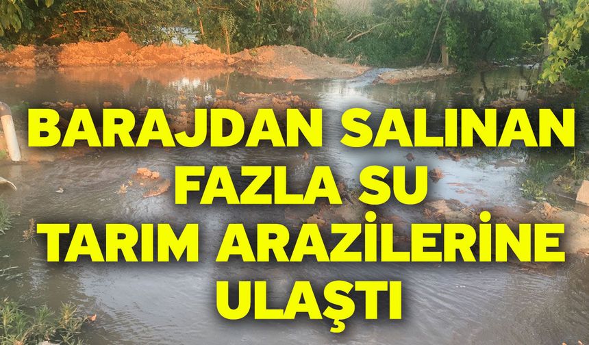 Barajdan salınan fazla su tarım arazilerine ulaştı
