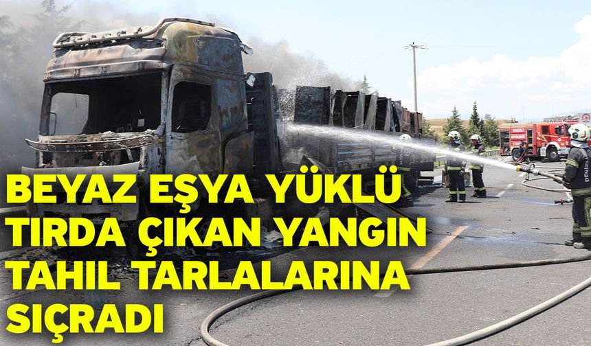 Beyaz eşya yüklü tırda çıkan yangın tahıl tarlalarına sıçradı