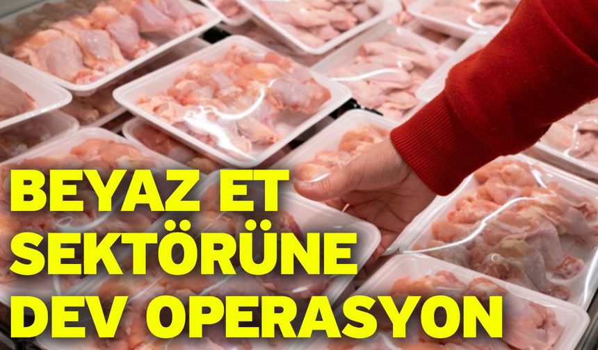 Beyaz et sektörüne dev operasyon