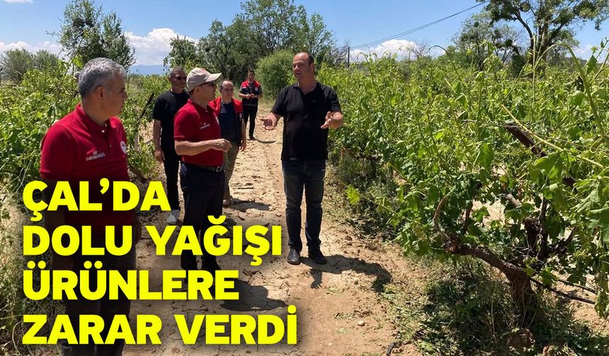 Çal’da dolu yağışı ürünlere zarar verdi