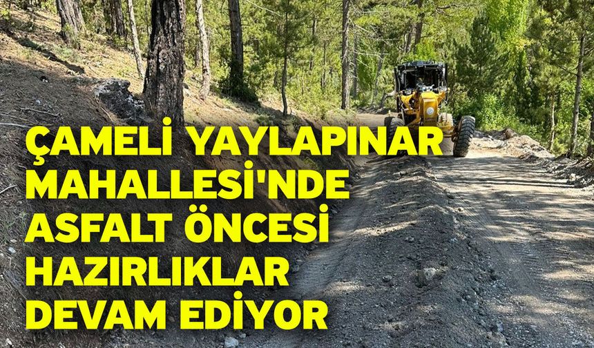 Çameli Yaylapınar Mahallesi'nde asfalt öncesi hazırlıklar devam ediyor