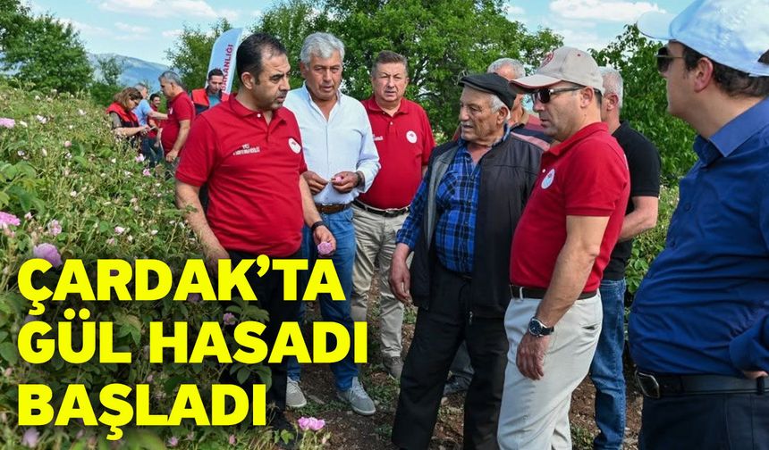 Çardak’ta gül hasadı başladı