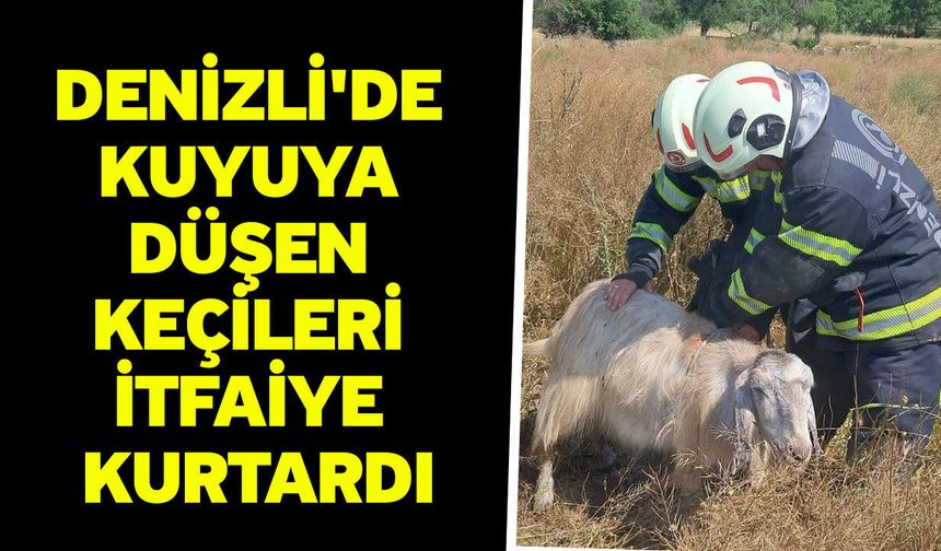 Denizli'de kuyuya düşen keçileri itfaiye kurtardı