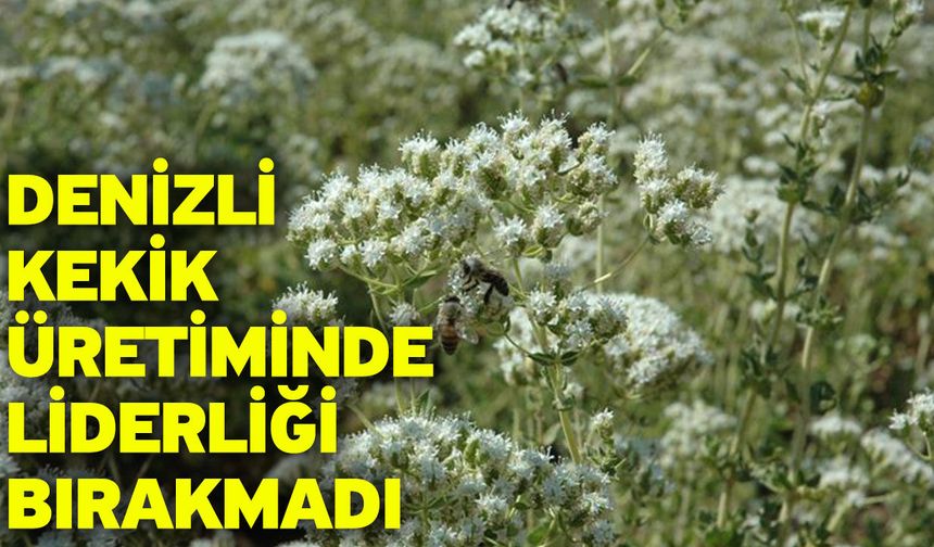 Denizli Kekik Üretiminde Liderliği Bırakmadı