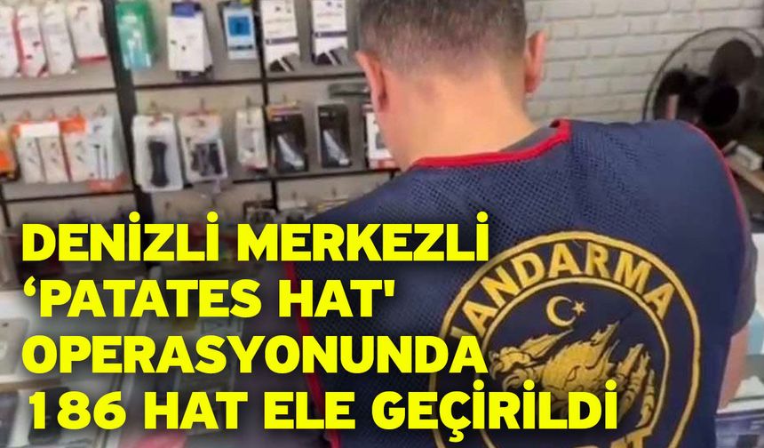 Denizli merkezli ‘Patates Hat' operasyonunda 186 hat ele geçirildi