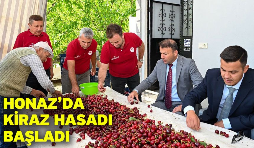 Honaz’da kiraz hasadı başladı