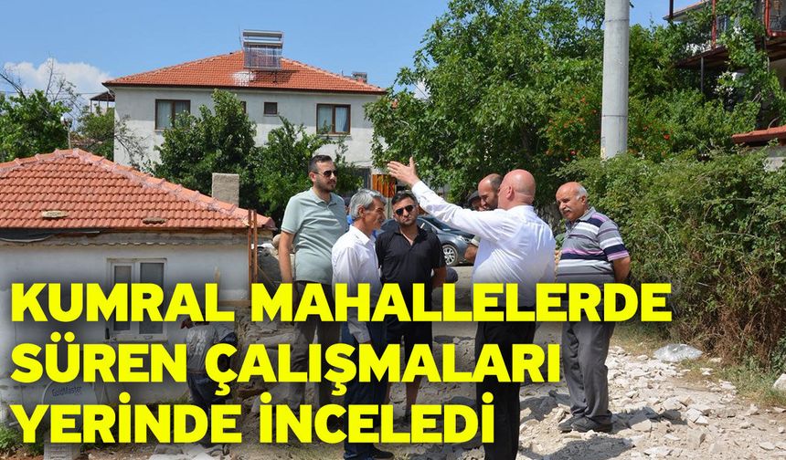 Kumral mahallelerde süren çalışmaları yerinde inceledi