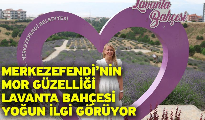 Merkezefendi’nin Mor Güzelliği Lavanta Bahçesi Yoğun İlgi Görüyor