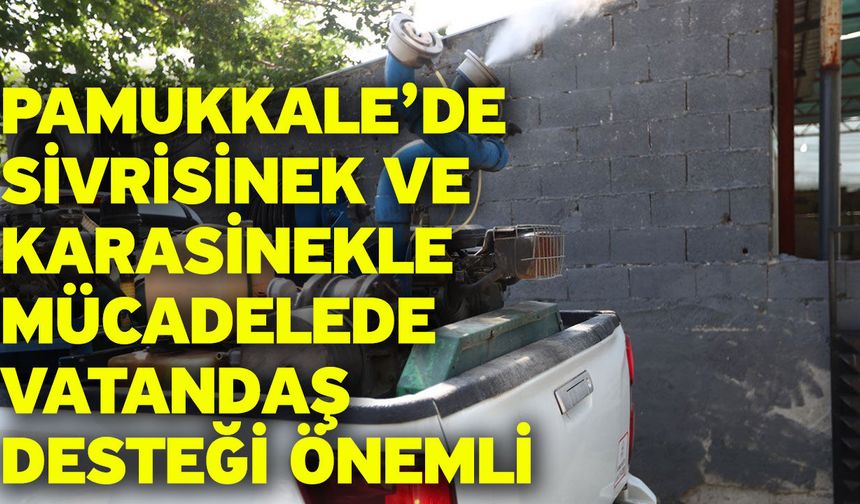 Pamukkale’de Sivrisinek Ve Karasinekle Mücadelede Vatandaş Desteği Önemli