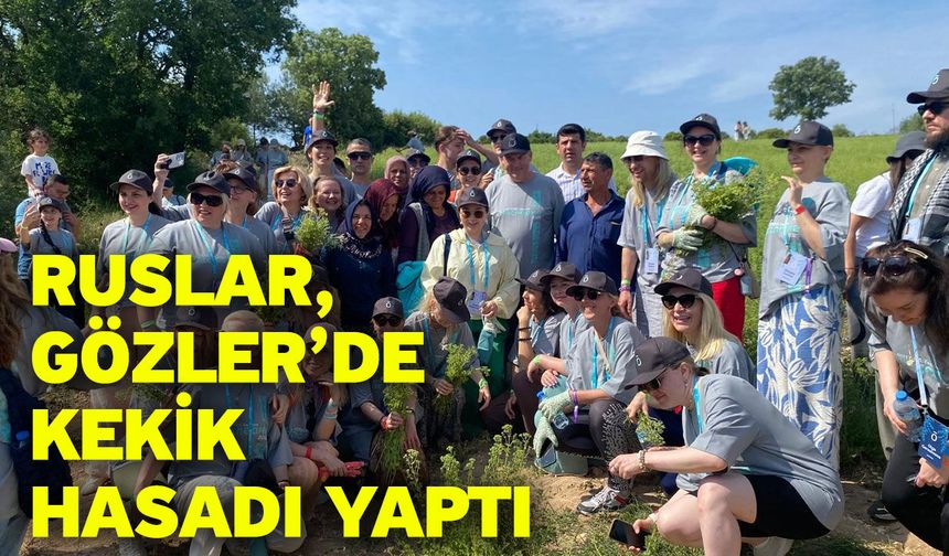 Ruslar, Gözler’de kekik hasadı yaptı