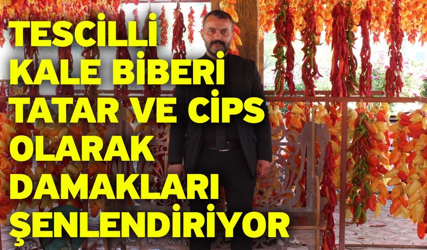 Tescilli Kale Biberi tatar ve cips olarak damakları şenlendiriyor