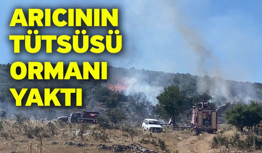 Arıcının tütsüsü ormanı yaktı