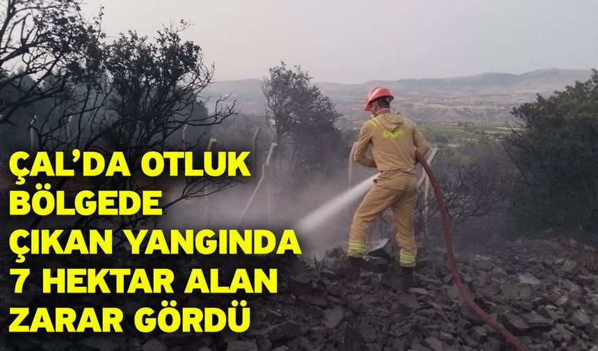 Çal’da otluk bölgede çıkan yangında 7 hektar alan zarar gördü