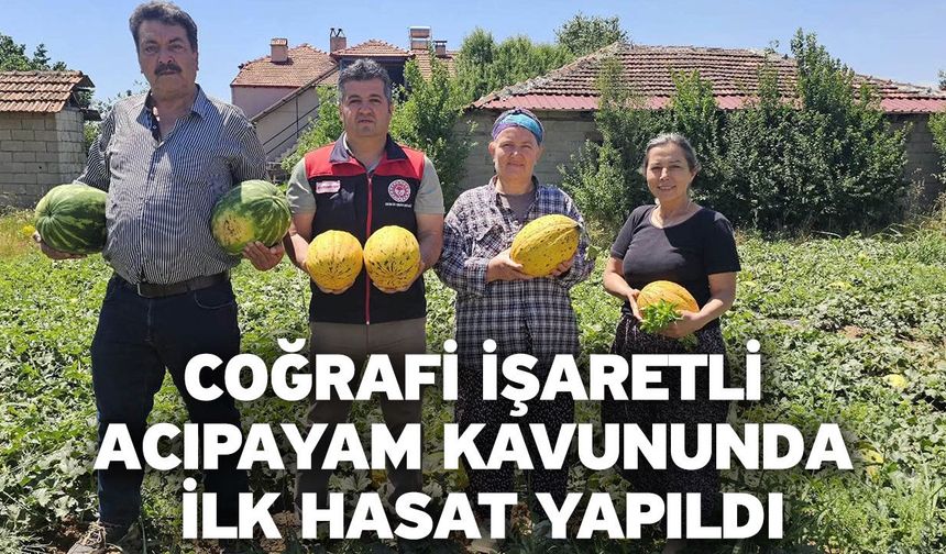 Coğrafi işaretli Acıpayam kavununda ilk hasat yapıldı