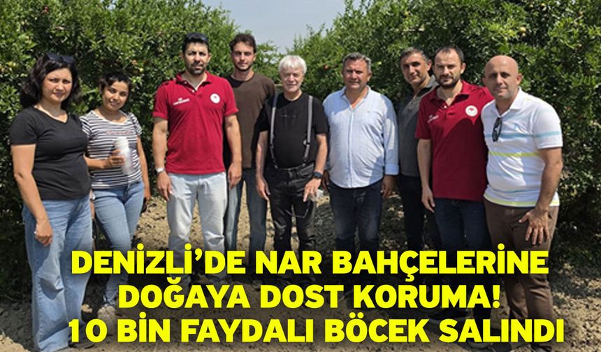 Denizli’de Nar Bahçelerine Doğaya Dost Koruma! 10 Bin Faydalı Böcek Salındı