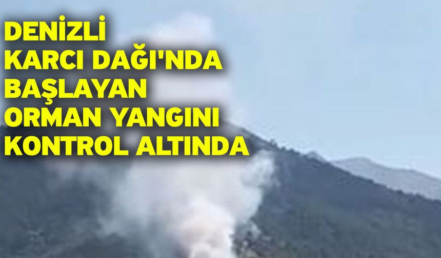 Denizli Karcı Dağı'nda başlayan orman yangını kontrol altında