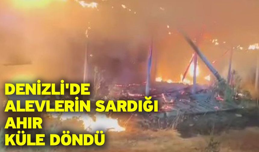 Denizli'de alevlerin sardığı ahır küle döndü