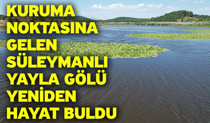 Kuruma noktasına gelen Süleymanlı Yayla Gölü yeniden hayat buldu