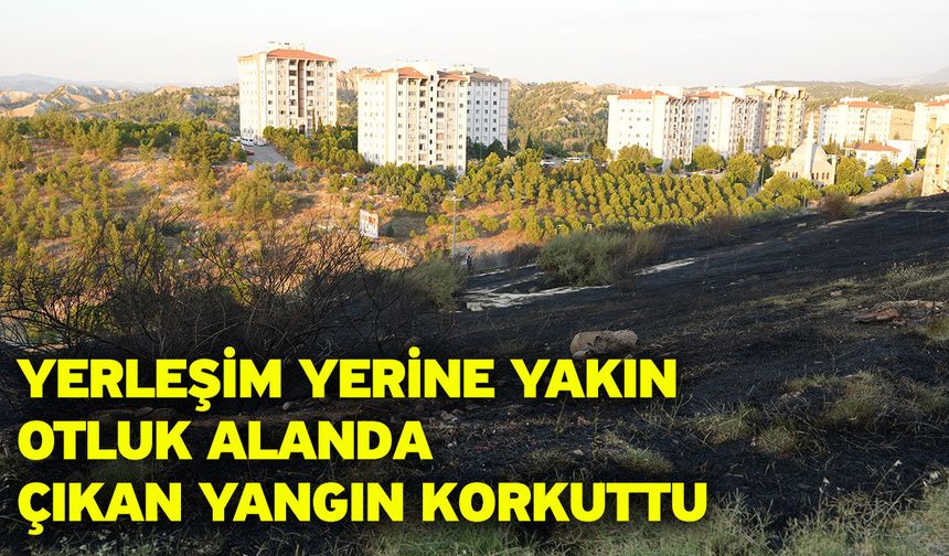 Yerleşim yerine yakın otluk alanda çıkan yangın korkuttu
