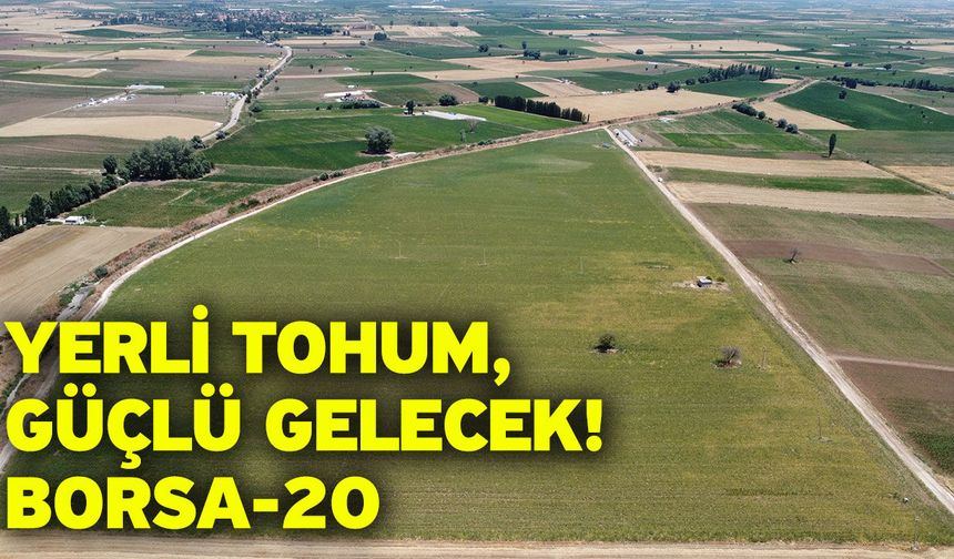 Yerli Tohum, Güçlü Gelecek: Borsa-20