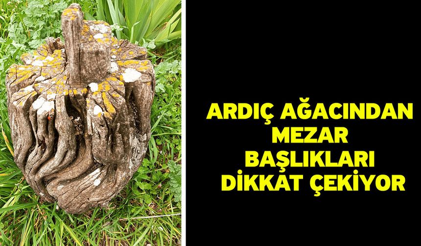 Ardıç ağacından mezar başlıkları dikkat çekiyor