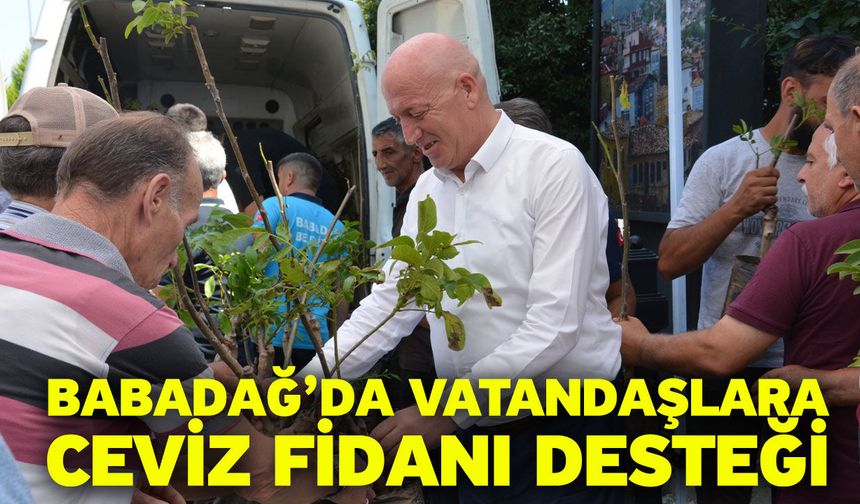 Babadağ’da Vatandaşlara Ceviz Fidanı Desteği