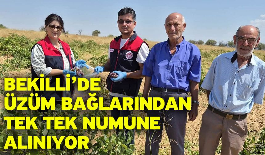 Bağlarda hasat telaşı başlarken denetimler de başladı