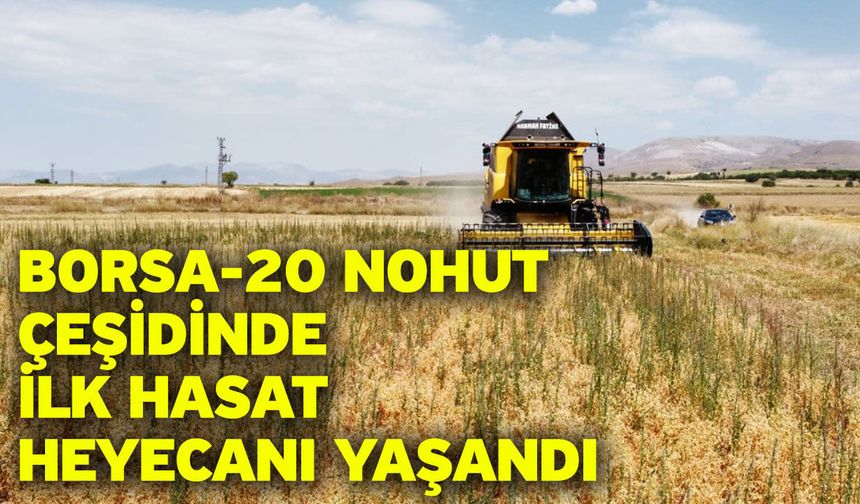 Borsa-20 nohut çeşidinde ilk hasat heyecanı yaşandı