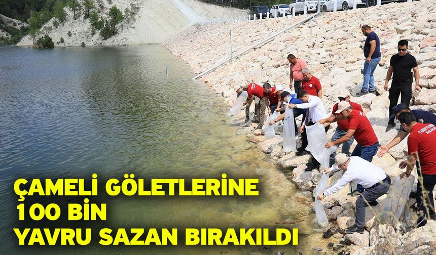 Çameli Göletlerine 100 Bin Yavru Sazan Bırakıldı