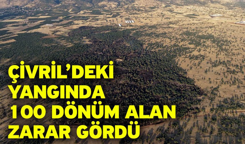 Çivril’deki yangında 100 dönüm alan zarar gördü