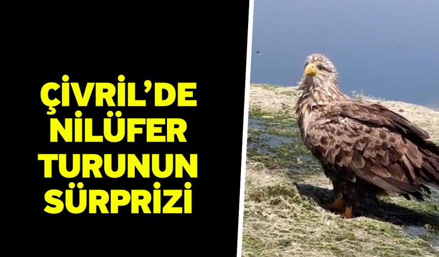Çivril’de nilüfer turunun sürprizi