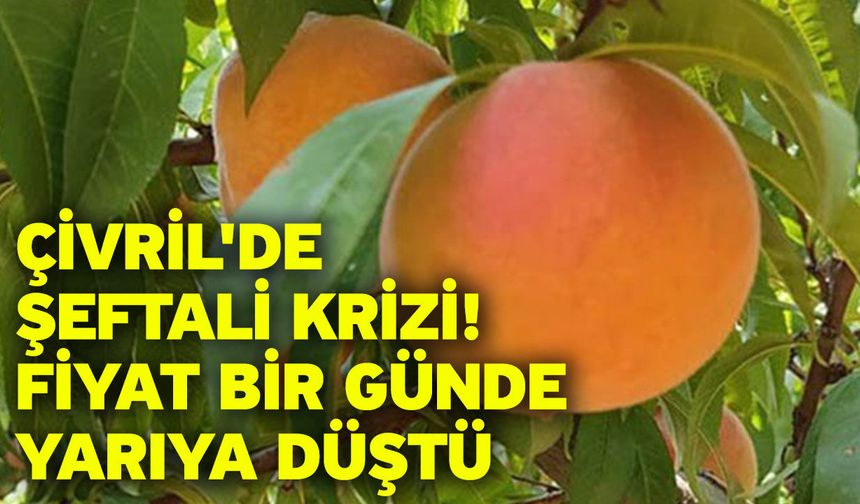 Çivril'de Şeftali Krizi! Fiyat Bir Günde Yarıya Düştü
