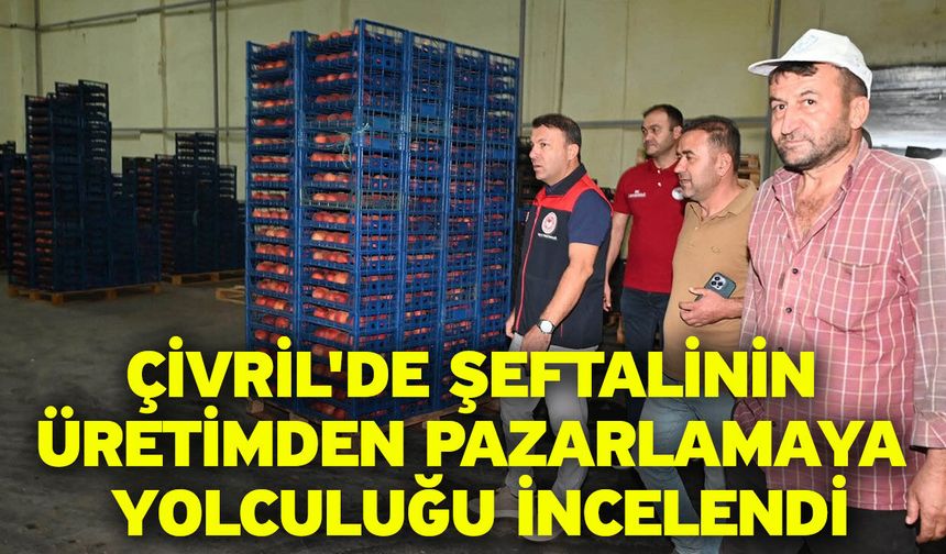 Çivril'de şeftalinin üretimden pazarlamaya yolculuğu incelendi