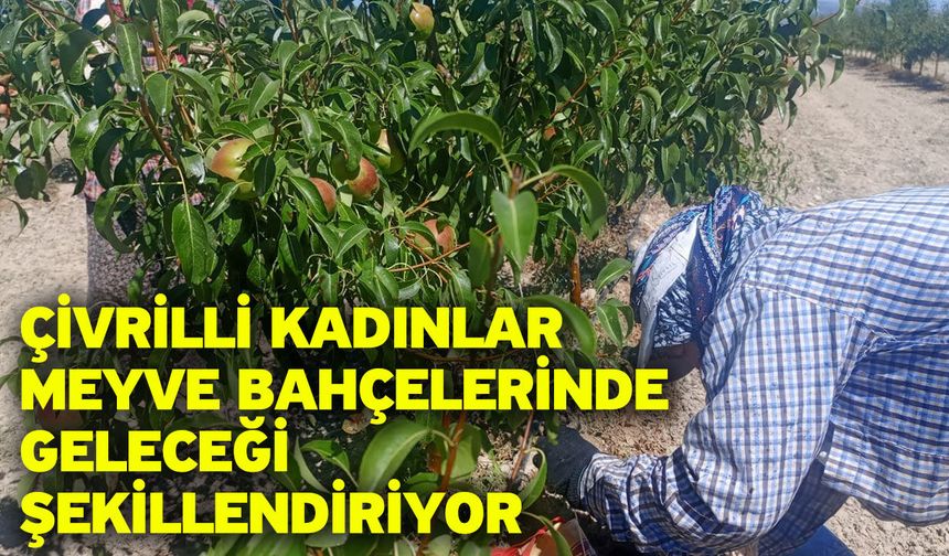 Çivrilli kadınlar meyve bahçelerinde geleceği şekillendiriyor