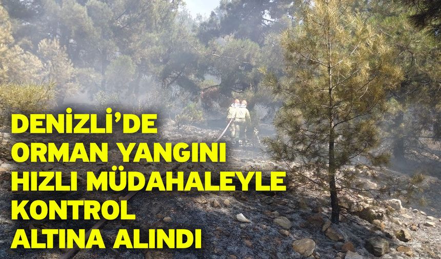Denizli’de orman yangını hızlı müdahaleyle kontrol altına alındı