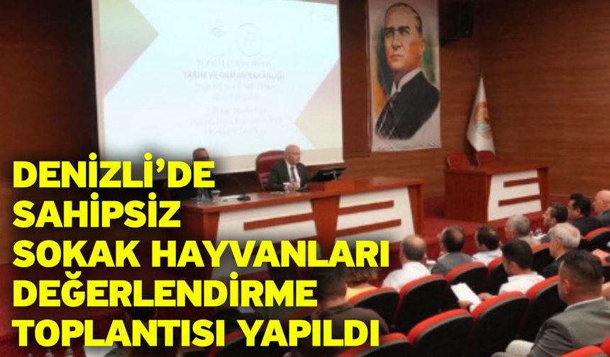 Denizli’de Sahipsiz Sokak Hayvanları Değerlendirme Toplantısı Yapıldı
