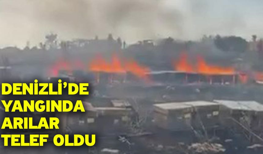 Denizli’de yangında arılar telef oldu