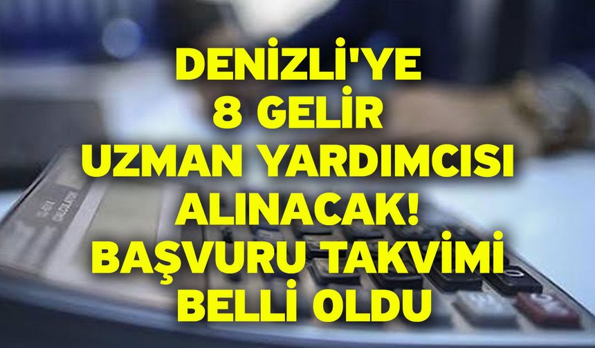 Denizli'ye 8 Gelir Uzman Yardımcısı Alınacak! Başvuru Takvimi Belli Oldu